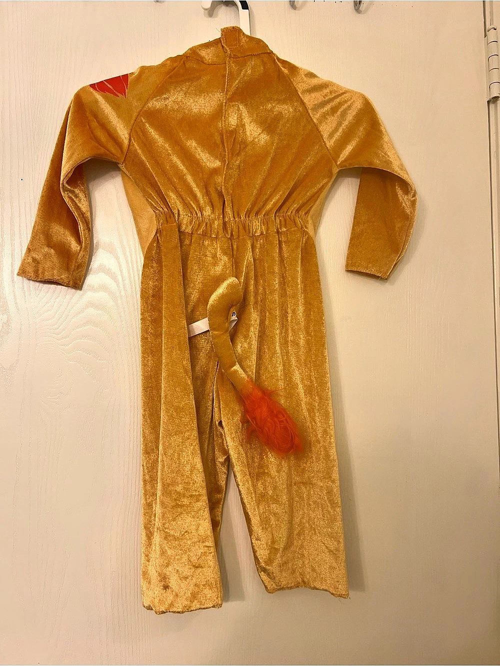 Halloween Lion Costume - Picture 3 of 4